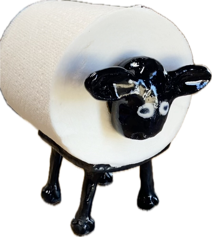 the sheep